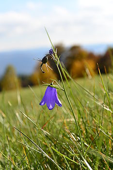 1/800 s, f/5.6, ISO: 160, Ohnisková vzdálenost: 27.50 mm 