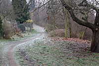 WB Automatické - příliš studené