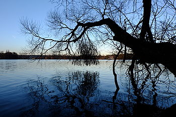 Velvia, 1/80 s, f/8.0, ISO: 200, Ohnisková vzdálenost (EQ35mm): 24 mm