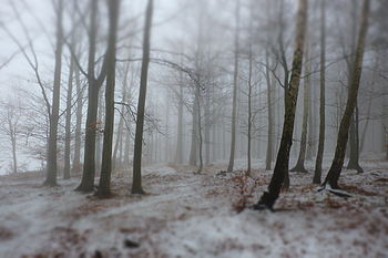 1/450 s, f/5.6, ISO: 800, Ohnisková vzdálenost (EQ35mm): 24 mm