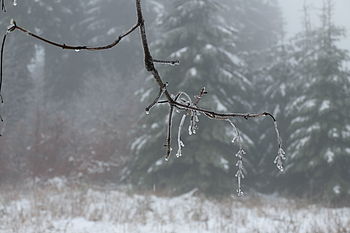 1/300 s, f/5.6, ISO: 200, Ohnisková vzdálenost (EQ35mm): 70 mm