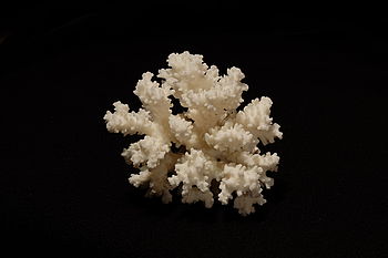 0.8 s, f/14, ISO: 400, Ohnisková vzdálenost (EQ35mm): 75 mm