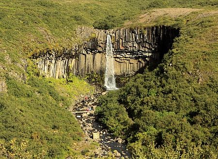 Vodopád Svartifoss v NP Skaftafell | (c) Daniš Vodopád Svartifoss v NP Skaftafell