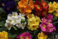 ISO 800, 1/800 s, F14, 18.00 - 55.00 mm f/3.5 - 5.6 na 35.00 mm 