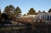 1/1400, F4, ISO 200 1/1400, F4, ISO 200