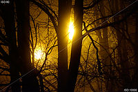 ISO 80 a 10000 v noci ISO 80 a 10000 v noci