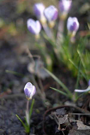 Objektiv: XF35mmF1.4 R Clona: 1.4, Doba expozice: 1/450 s, ISO: 200, Ohnisková vzdálenost: 35.00 mm | (c) Súkeník Objektiv: XF35mmF1.4 R Clona: 1.4, Doba expozice: 1/450 s, ISO: 200, Ohnisková vzdálenost: 35.00 mm