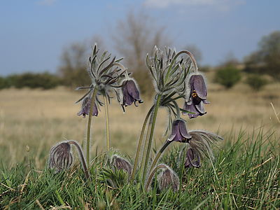 1/1600 s, f/3.2, ISO: 80, Ohnisková vzdálenost (EQ35mm): 66 mm