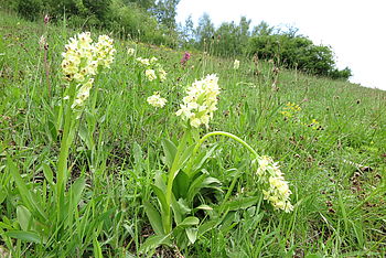 1/60 s, F16, ISO: 400, f=12.50 mm 