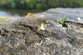 1/200 s, F4.0, ISO: 100, f=12.50 mm 