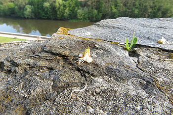 1/60 s, F16, ISO: 500, f=12.50 mm 