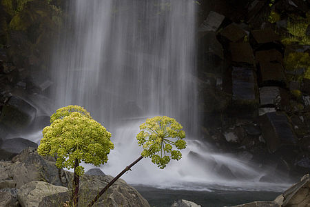 Canon EOS 600D, objektiv 55-250mm, 1/15 F22, ISO 800