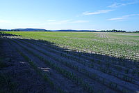 F5.6, 1/320 s, ISO 160, kor. exp. 0, WB Ruční | (c) Jakub Súkeník F5.6, 1/320 s, ISO 160, kor. exp. 0, WB Ruční