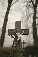 SMC Pentax M 50mm F1.7, Lens Turbo I, 1/3200 s , F1.7, ISO200 | (c) Jakub Súkeník SMC Pentax M 50mm F1.7, Lens Turbo I, 1/3200 s , F1.7, ISO200