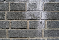 SMC Pentax 50 F1.7 + Lens Turbo II, F8, 1/1250 s, ISO100 | (c) Jakub Súkeník SMC Pentax 50 F1.7 + Lens Turbo II, F8, 1/1250 s, ISO100