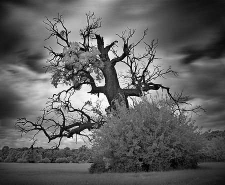 Autor: Tomáš Drozd | Fotograf Ostrava