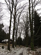 Clona: 4.0, Doba expozice: 1/125 s, ISO: 100, Ohnisková vzdálenost: 4.77 mm