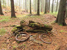 Clona: 3.5, Doba expozice: 1/20 s, ISO: 1000, Ohnisková vzdálenost: 3.98 mm