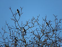 Clona: 6.5, Doba expozice: 1/320 s, ISO: 100, Ohnisková vzdálenost: 247.00 mm