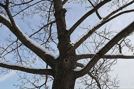 EF-S24mm f/2.8 STM, 24.00 mm, ISO100, F8.0, 1/250 s, exp. 0, WB Automatické | (c) Jan Dobrovodský EF-S24mm f/2.8 STM, 24.00 mm, ISO100, F8.0, 1/250 s, exp. 0, WB Automatické