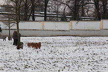 EF24-105mm f/3.5-5.6 IS STM, 77.00 mm, ISO100, F7.1, 1/200 s, exp. +1, WB Automatické | (c) Jan Dobrovodský EF24-105mm f/3.5-5.6 IS STM, 77.00 mm, ISO100, F7.1, 1/200 s, exp. +1, WB Automatické