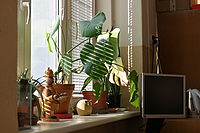 HDR, f/4.0, 1/320 s, ISO: 100, Ohnisková vzdálenost (EQ35mm): 69 mm | © Petr Koritina HDR, f/4.0, 1/320 s, ISO: 100, Ohnisková vzdálenost (EQ35mm): 69 mm