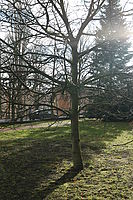 Boční světlo; f/4.5, 1/320 s, ISO: 100, Ohnisková vzdálenost (EQ35mm): 40 mm | © Petr Koritina Boční světlo; f/4.5, 1/320 s, ISO: 100, Ohnisková vzdálenost (EQ35mm): 40 mm