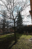 Přímé protisvětlo; f/5.0, 1/500 s, ISO: 100, Ohnisková vzdálenost (EQ35mm): 27 mm | © Petr Koritina Přímé protisvětlo; f/5.0, 1/500 s, ISO: 100, Ohnisková vzdálenost (EQ35mm): 27 mm