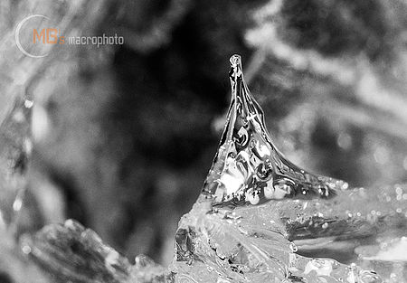 6  Isolda (2006, Labské pískovce)