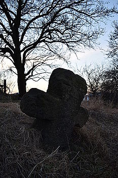 f/3.5, 1/40 s, ISO: 100, Ohnisková vzdálenost (EQ35mm): 27 mm, objektiv18.00 - 55.00 mm f/3.5 - 5.6 