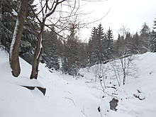 f=4.30 mm; F2.9, 1/1250 s, ISO: 125