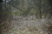 70.00 mm, ISO100, F4.0, 1/125 s, komp. exp. 0, WB Automatické