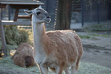 XF50-140mmF2.8 R LM OIS WR, 140.00 mm, F4.0, ISO 400, 1/200 s 