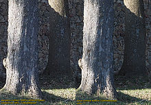 Porovnání kvality snímků