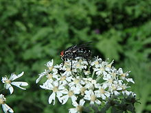 F5.2, 1/800 s, ISO: 125 | © Petr Koritina F5.2, 1/800 s, ISO: 125