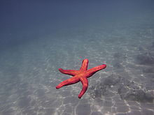 F3.3, 1/640 s, ISO: 100 | © Petr Koritina F3.3, 1/640 s, ISO: 100