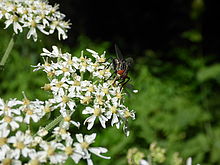 F4.9, 1/640 s, ISO: 100 | © Petr Koritina F4.9, 1/640 s, ISO: 100