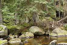 Sony FE 55mm F1.8 ZA, clona F8.0, 1/4 s , ISO 100, kom. exp. 0, WB Ruční, DRO Auto