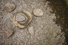 Sony FE 55mm F1.8 ZA, clona F1.8, 1/1250 s , ISO 100, kom. exp. -1, WB Ruční, DRO Auto