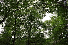 Sony FE 28-70mm F3.5-5.6 OSS, clona F10, 1/125 s , ISO 125, kom. exp. 0, WB Ruční, DRO Auto