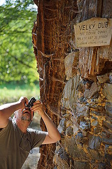 Sony FE 55mm F1.8 ZA, clona F1.8, 1/640 s , ISO 100, kom. exp. -1, WB Automatické, DRO 5