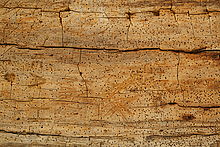 Sony FE 55mm F1.8 ZA, clona F8.0, 1/125 s , ISO 1600, kom. exp. -1, WB Ruční, DRO 5