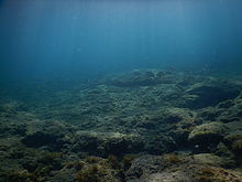 F2.8, 1/1250 s, ISO: 125, f=24 mm (35mm ekv.), COOLPIX AW130 