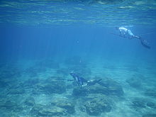 F2.8, 1/500 s, ISO: 125, f=24 mm (35mm ekv.), COOLPIX AW130 