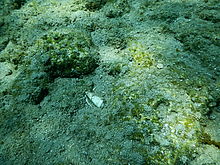 F2.8, 1/800 s, ISO: 125, f=24 mm (35mm ekv.), COOLPIX AW130 