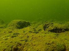 F2.8, 1/200 s, ISO: 100, f=25 mm (35mm ekv.), TG-4             