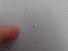 F3.2, 1/200 s, ISO: 100, f=30 mm (35mm ekv.), TG-4             