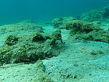 F2.8, 1/400 s, ISO: 100, f=25 mm (35mm ekv.), TG-4             