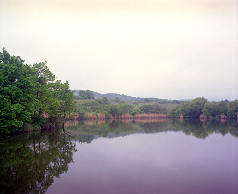 855494_ff065.jpg